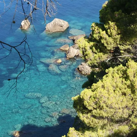 Holiday home Son Riera Petit Paradis *